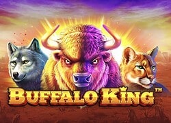 Buffalo King BetOnRed Casino Slot  BetOnRed Casino Online