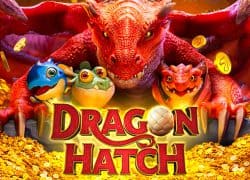 Dragon Hatch BetOnRed Casino Game  BetOnRed Casino Online