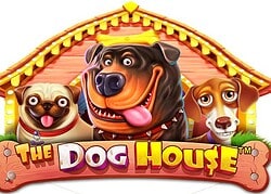 Dog House BetOnRed Casino Game  BetOnRed Casino Online